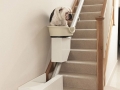 Stair Lift for Dogs