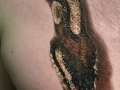 Realistic Snake Tattoo