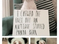Shaming pets on a new level