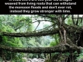 Nature at it's finest