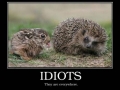 Idiots