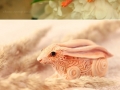 Handmade animal art