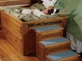 Perfect bed for your dog