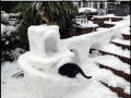 Cats and their snow fort