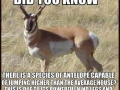 Did you know?