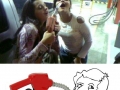 Girls... Genius