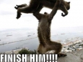 FINISH HIM!