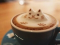 3D Latte Art