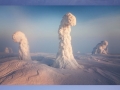Alien Landscapes