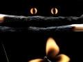 Burnt Matchstick Art