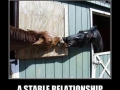 A stable relationship