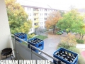 German Flower Boxes