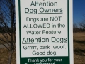 Attention Dogs