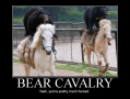 Bear cavalry