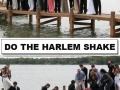 Doing the Harlem Shake