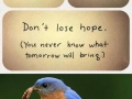 Don't lose hope!