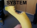 F**k the system