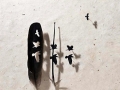 Cool feather art