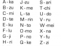 Our Ninja Names