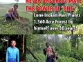 Man plants 1360 acre forest