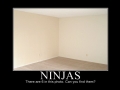 Can you see them?
