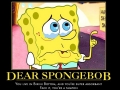 Dear Spongebob