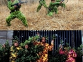 Can you see them?