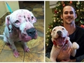 Before & after rescue