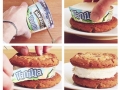 Delicious ice cream biscuit