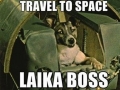 Laika boss
