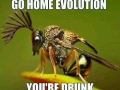 Evolution done wrong!