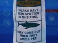 Shark Warning Sign