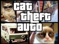 Cat Theft Auto