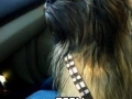 Life of Chewbacca