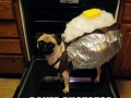 Baked pugtatoe