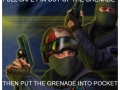 Counter-Strike logic