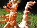 Doll Centipede