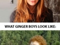 Ginger boys vs Ginger girls