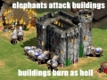 Normal day in AOE