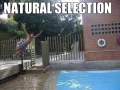 Natural selection