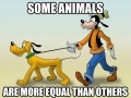 All animals are equal, but..