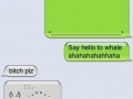 Whale trolling