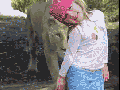 Lion scares girl
