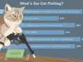 What's our cat plotting?