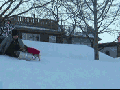 My sled, human!