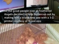 Faith in humanity restored