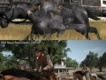 6 years difference
