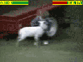 Fatality - Goat vs Real Boy