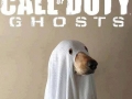 The real cover