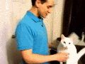 Not all cats are selfish